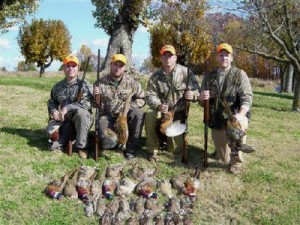 Pheasant Hunting