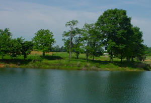 Fishing at Meadow Brook Game Farm