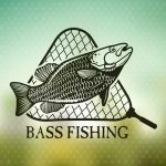 Bass Fishing