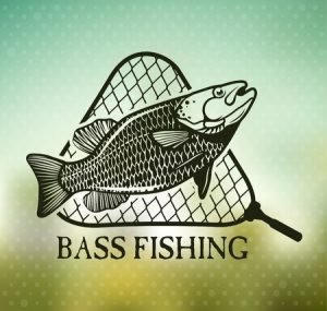 Bass Fishing