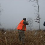 Hunter in orange vest hunting pheasant