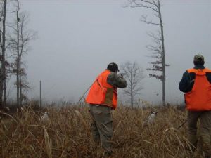 Pheasant Hunting Gear