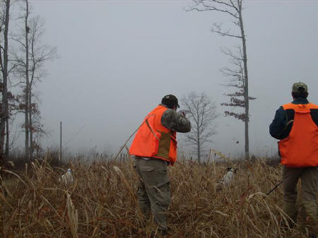 Pheasant Hunting Gear 