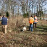 Pheasant Hunting