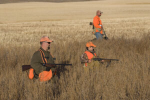 Father Son quail hunting in Tennessee