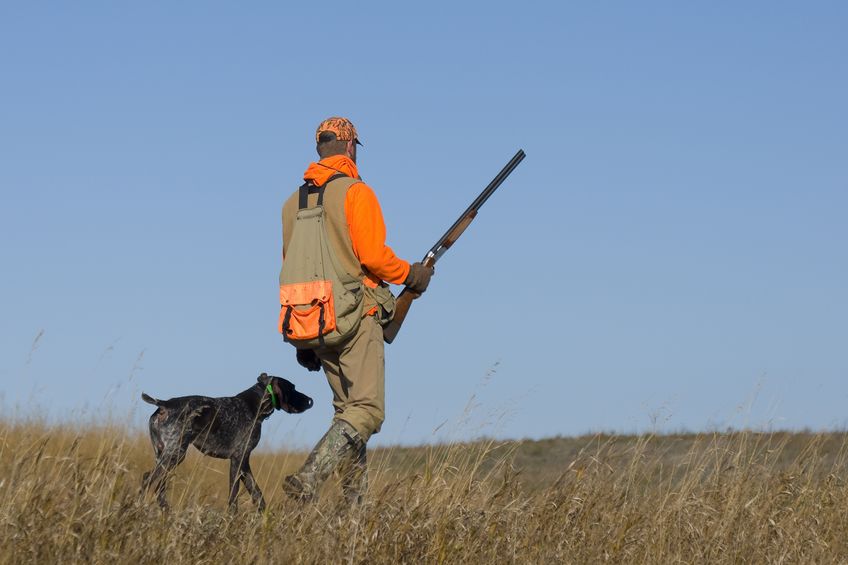 pheasant hunter dressed warmly walking with dog in field