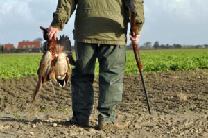 Hunter with his rifle and pheasant he hunted